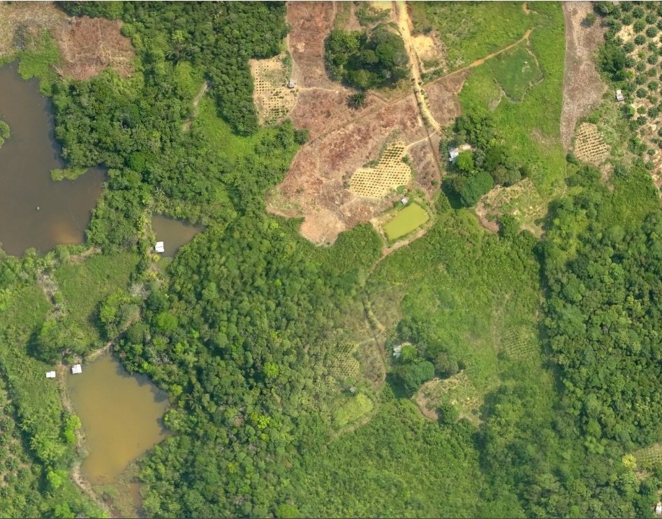 Pilot Mendaratkan Drone Multirotor di Lapangan